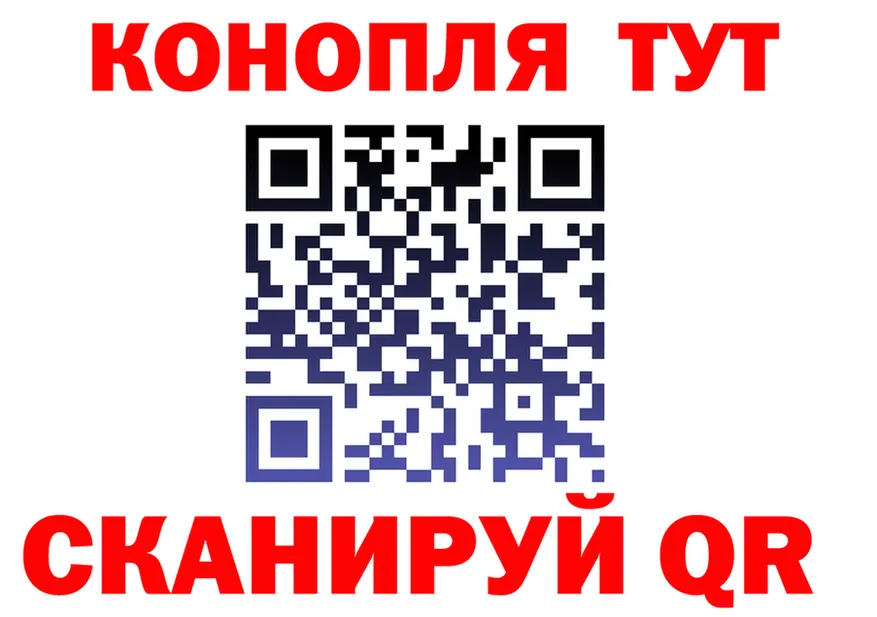МЕФ 4 MMC ТОР это kraken Железногорск