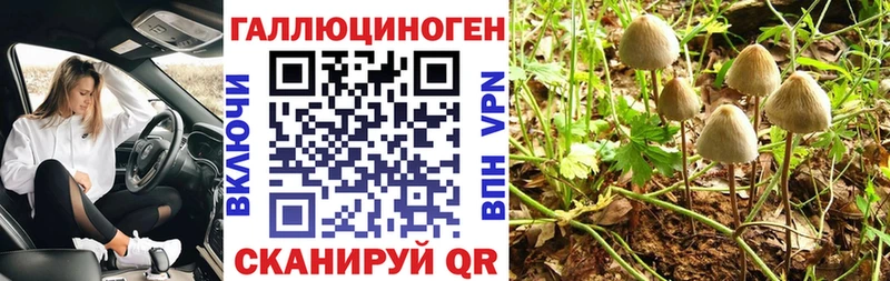 наркотики Железногорск Псилоцибиновые грибы GOLDEN TEACHER
