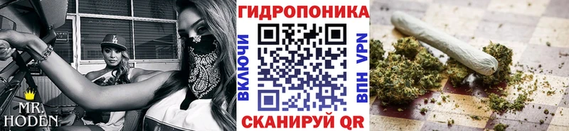 Шишки марихуана план где продают наркотики Железногорск